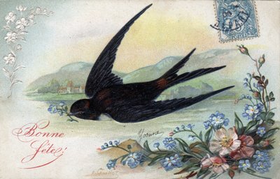 Happy Birthcard: Swallow bringing a flower by Unbekannt