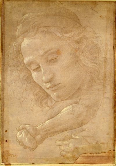 Head of a Youth, Drawing from a Page of 