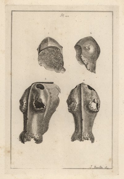 Helmet and Iron Chanfron that Belonged to Guy, Earl of Warwick by Unbekannt