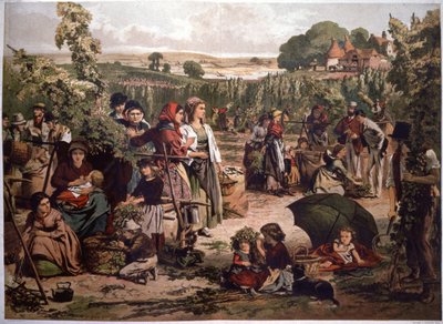 Hops Picking in England, End of the 19th Century by Unbekannter Künstler