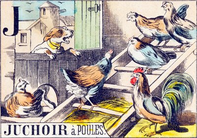 J: Chicken Roost - 