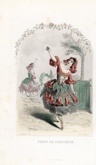 The pomegranate flower fairy dances - Etching by Charles Geoffroy, based on an illustration by Jean Ignace Isidore Gerard for Les fleurs animees by Unbekannter Künstler