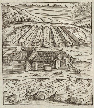 Preparation of saltpeter - Engraving from Description of ores and main mining methods, by Lazarus Ecker by Unbekannt