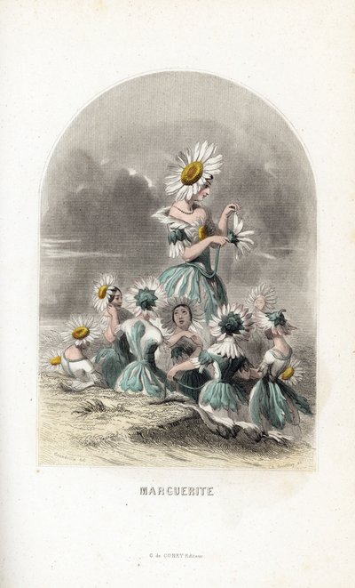 The fairies of the daisies of the meadows, topped with flower hats, one leaves the petals of a daisy - Etching by Charles Geoffroy, after an illustration by Jean Ignace Isidore Gerard for Les fleurs animees by Unbekannter Künstler