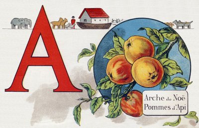 Letter A: Noe