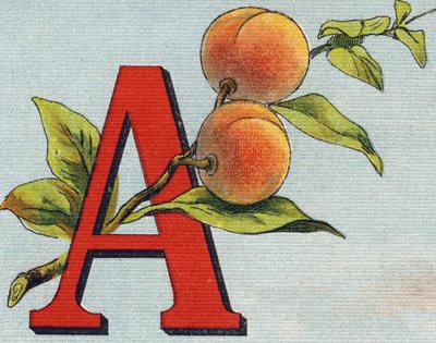 Letter A: apricot by Unbekannt