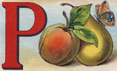Letter P as Peach, Pear and Butterfly (Engraving in "Alphabet de ma petite fille") by Unbekannt