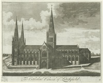 Lichfield Cathedral - South View by Unbekannt