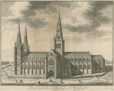 Lichfield Cathedral - South View by Unbekannt