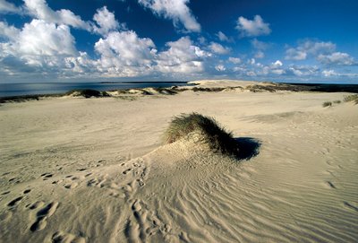 Moving sand dunes called Prussian Sahara, Curonian Spit, Nida by William M. Timlin