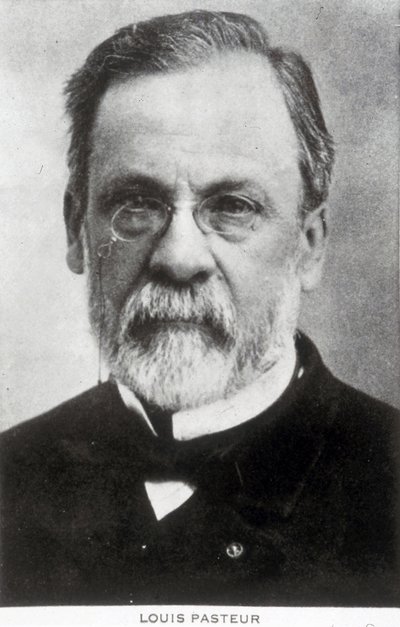 Louis Pasteur, French chemist and microbiologist, c 1885 by Unbekannter Künstler