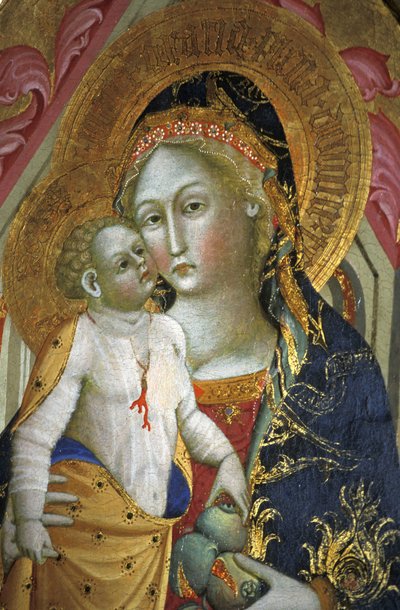 Madonna and child, Francesco di Gentile, 14th century, Piersanti museum, Matelica, Marche, Italy by Unbekannt