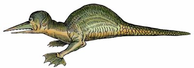 Marine dragon (Draco marinus), xylography taken from Paralipomena accuratissima historiae omnium animalium quae in voluminibus Aldrovandi desiderantur by Bartholomaeus Ambrosinus by Unbekannter Künstler