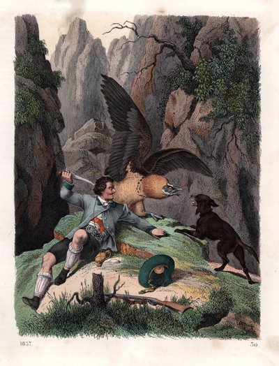 Mathias Sturz fighting a bearded vulture with a knife by Unbekannter Künstler