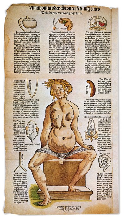 Anatomical board describing the female anatomy from a Renaissance medical treatise by Unbekannter Künstler
