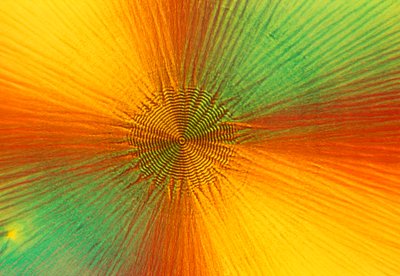 Micrographs (Light) Ascorbic acid, light micrograph by Unbekannt