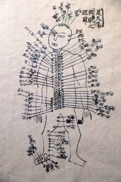 Museum of Traditional Vietnamese Medicine, The channels and vessels, Book of acupuncture, Ho Chi Minh City, Vietnam by Unbekannt