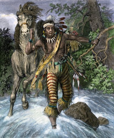 Native population of America: Indians. Sitting Bull or Thathanka Iyothanka by Unbekannter Künstler