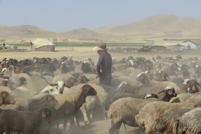 Nomadic tents between Tamar and Ashkhaneh, Iran 2022 by Unbekannter Künstler
