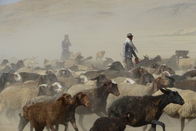 Nomadic Tents Between Tamar and Ashkhaneh, Iran 2022 by Unbekannter Künstler