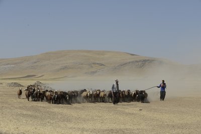 Nomadic Tents Between Tamar and Ashkhaneh, Iran 2022 by Unbekannter Künstler