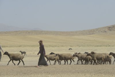 Nomadic tents between Tamar and Ashkhaneh, Iran 2022 by Unbekannter Künstler