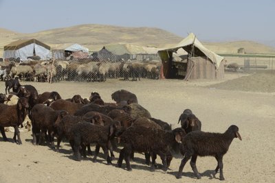 Nomadic tents between Tamar and Ashkhaneh, Iran 2022 by Unbekannter Künstler