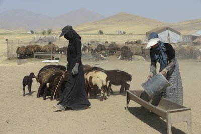 Nomadic tents between Tamar and Ashkhaneh, Iran 2022 by Unbekannter Künstler