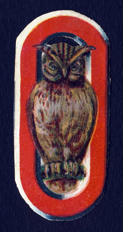 O like Owl. Beetle decoupis on the theme of animals. Engraving. Series of 26 waffle chromolithographs of English origin. End of the 19th century. by Unbekannt