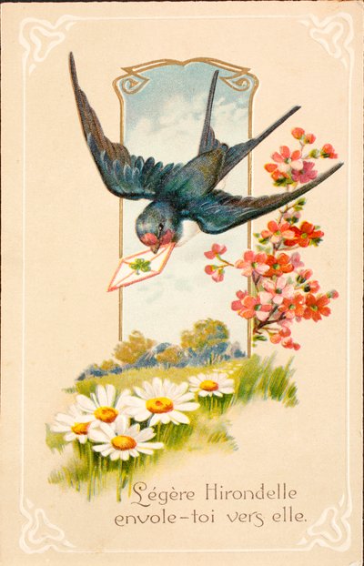 Old postcard / Swallow / Message by Unbekannt