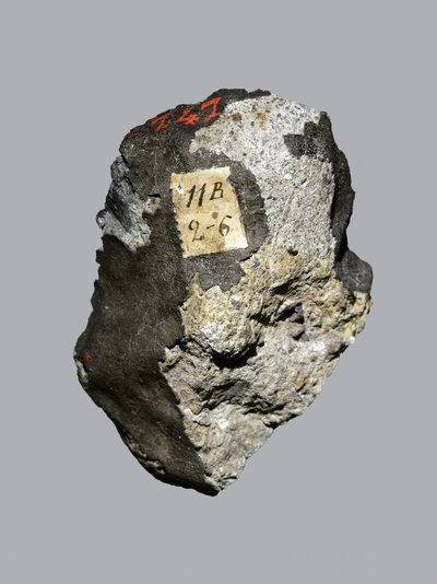 Ordinary chondrite (LL5). Fell in Siena (Italy) in 1794. National Museum of Natural History, Paris. by Unbekannt