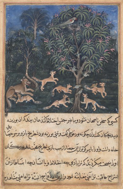 Page from Tales of a Parrot (Tuti-nama): Fifth Night: The Parrot Mother Cautions Her Young on the Danger of Playing with Foxes by Unbekannt
