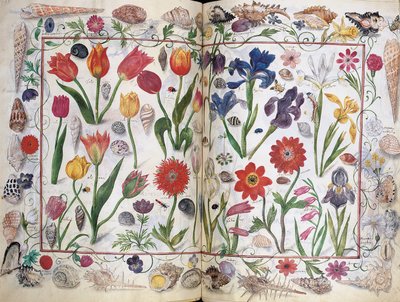 Pages from the Album Amicorum of Philipp Hainhofer by Unbekannt