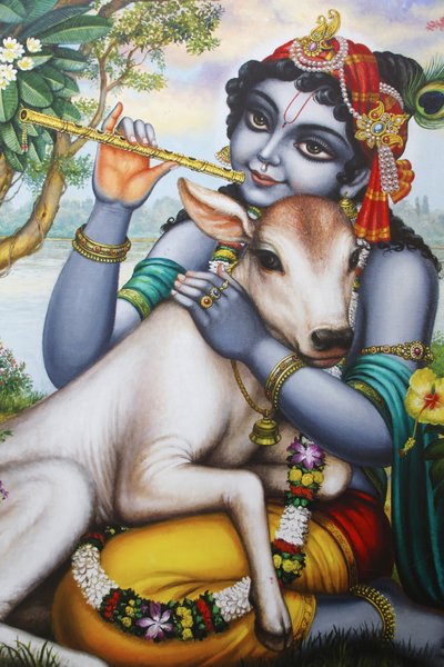 Hindu god Krishna playing a flute and fondling a calf, India by Unbekannt