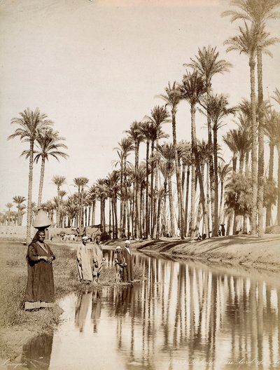 Palm Trees Along the River Nile. In the Foreground Men in Traditional Costume by Unbekannter Künstler