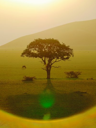 Paradise after the Rain, Chyulu Hills by Unbekannter Künstler