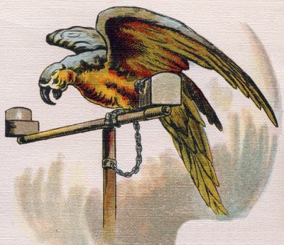 Parrot on a perch. Engraving in 