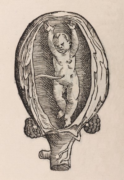 Non-Natural Birth with Hands Extended by Unbekannt