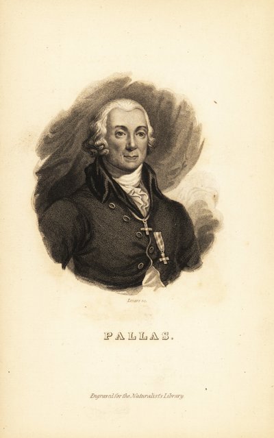 Peter Simon Pallas, German explorer, zoologist and botanist by Unbekannt