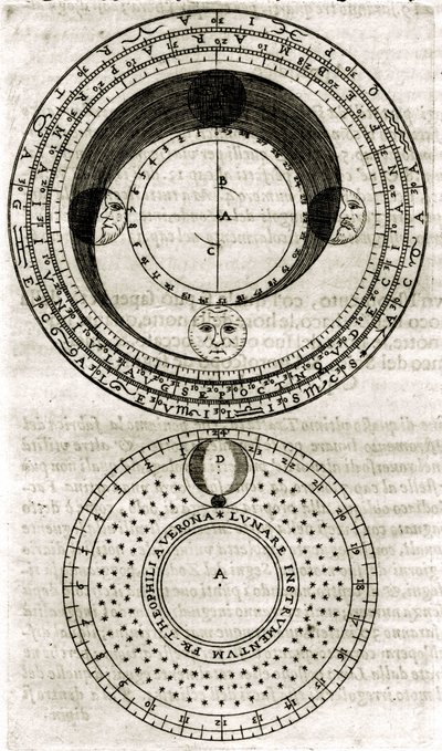 Plate drawn from 