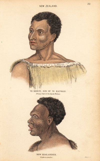 Portrait of Te Kewiti, son of Te Kauwain, young chief of the Maori Ngate Watnas, New Zealand, and portrait of a tattooed Maori, New Zealander, drawn in London by Agasse by Unbekannter Künstler