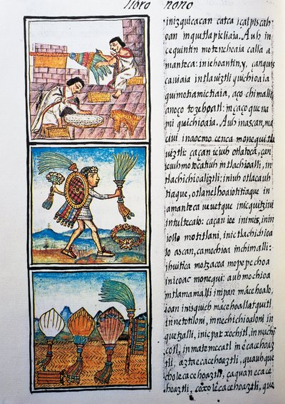 Processing feathers, text in Nahuati, from facsimile of manuscript General History of Things of New Spain, also known as Florentine Codex, by Bernardino de Sahagun by William M. Timlin
