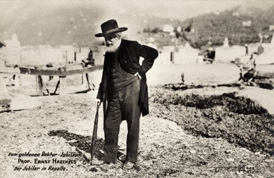 Professor Ernst Haeckels in Rapallo, Italy by Unbekannt
