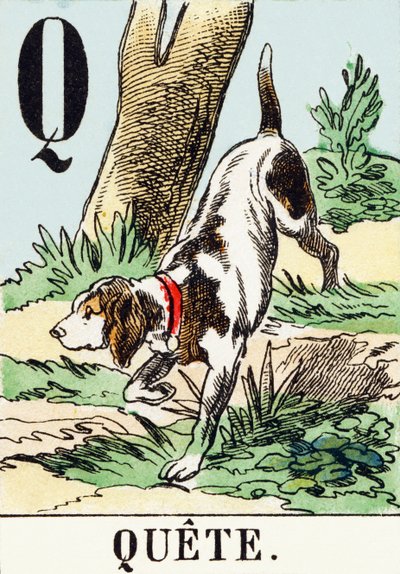 Q: Quest - The Hunting Alphabet, c.1890 by Unbekannt