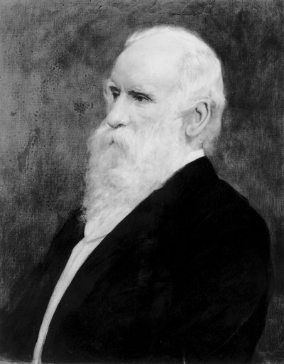 Robert Stirling Newall, English engineer and astronomer, c 1875 by Unbekannt
