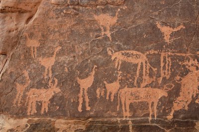 Detail of an Engraving of a Set of Ostriches and Cattle in the Uweinat Massif, Egypt by Unbekannt