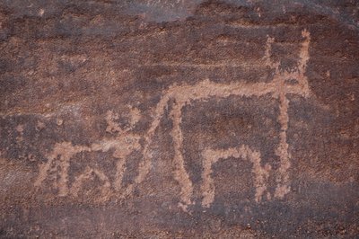 Engraving of a Cow and Its Calf in the Uweinat Massif, Egypt by Unbekannt