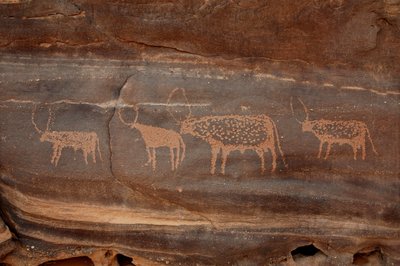 Rock art, Prehistory: Engraving of four cattle in the Uweinat massif, Sudan by Unbekannt