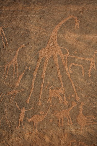 Rock art, Prehistory: Engraving of giraffes, ostriches, sheep and characters in the Uweinat massif, Sudan (Period from 8000 to 3000 years BC). Photography by Unbekannt
