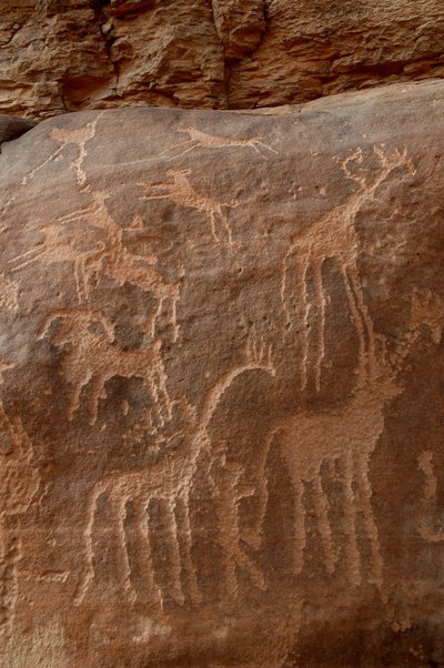 Engraving of Giraffes, Ostriches, Sheep, Dog and Character in the Uweinat Massif, Sudan by Unbekannt